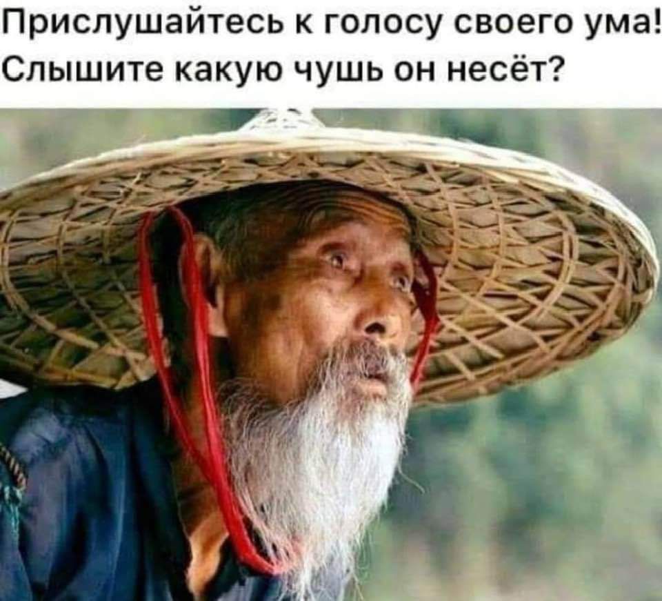 Прислушайтесь к голосу своего ума Слышите какую чушь он несёт