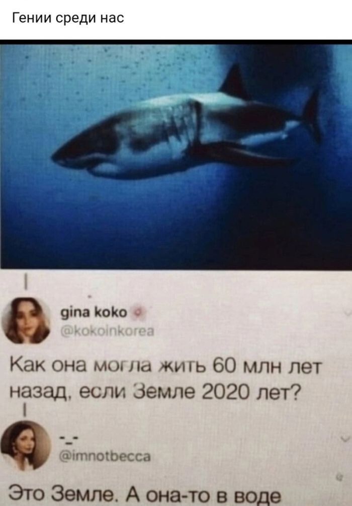 Гении среди нас 9па КоКо Как она могла жить 60 млн лет назад если Земле 2020 лет 1тпобесса Это Земле А она то в воде