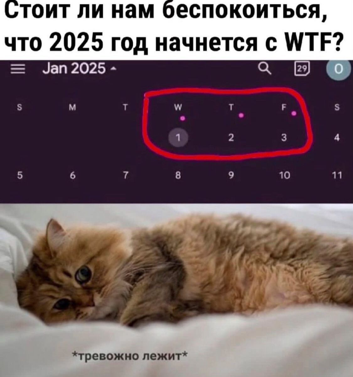 оеспокоиться что 2025 год начнется с ТЕ ЕЕ ап 2025 а в тревожно лежит