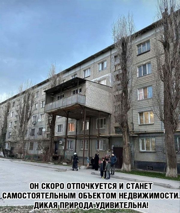 ОН СКОРО ОТПОЧКУЕТСЯ И СТАНЕТ САМОСТОЯТЕЛЬНЫМ ОБЪЕКТОМ НЕДВИЖИМОСТИ ОДАЗУДИВИТЕЛЬНА
