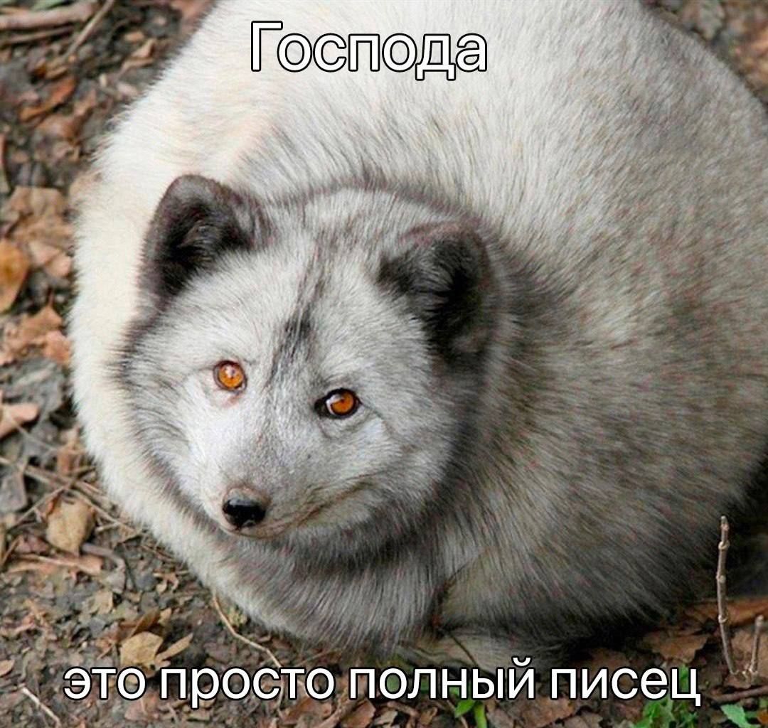 Господа