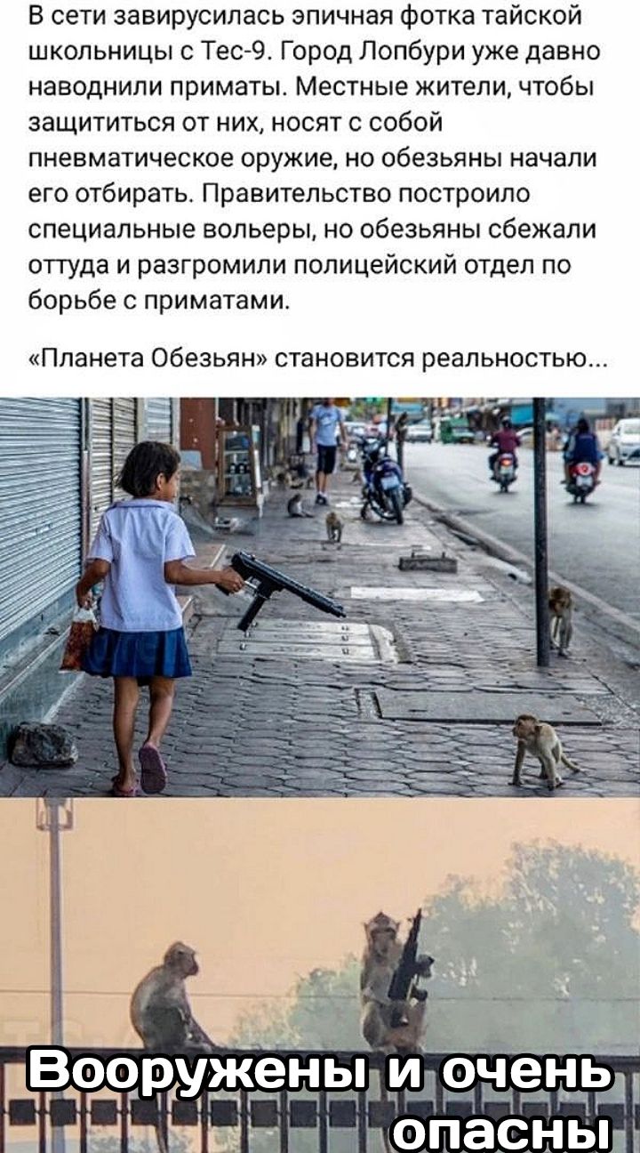 В сети завирусилась эпичная фотка тайской школьницы с Тес 9 Город Лопбури уже давно наводнили приматы Местные жители чтобы защититься от них носят с собой пневматическое оружие но обезьяны начали его отбирать Правительство построило специальные вольеры но обезьяны сбежали оттуда и разгромили полицейский отдел по борьбе с приматами Планета Обезьян становится реальностью ы и9ченьд