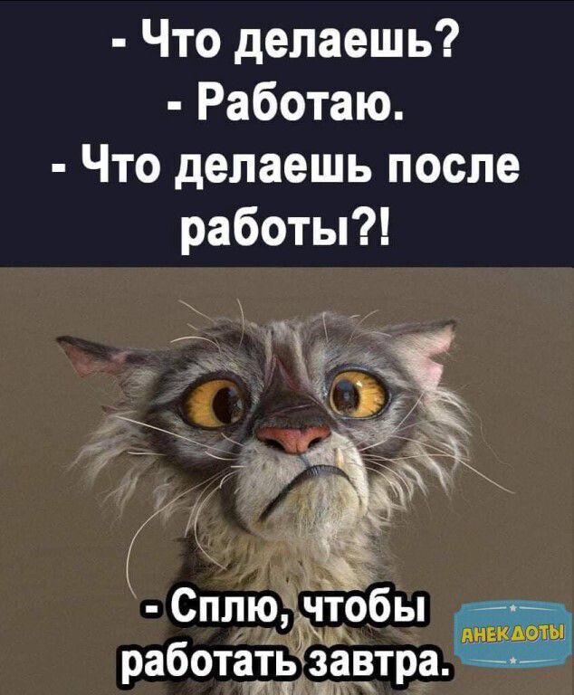Что делаешь Работаю Что делаешь после работы завтра мат работать уэ