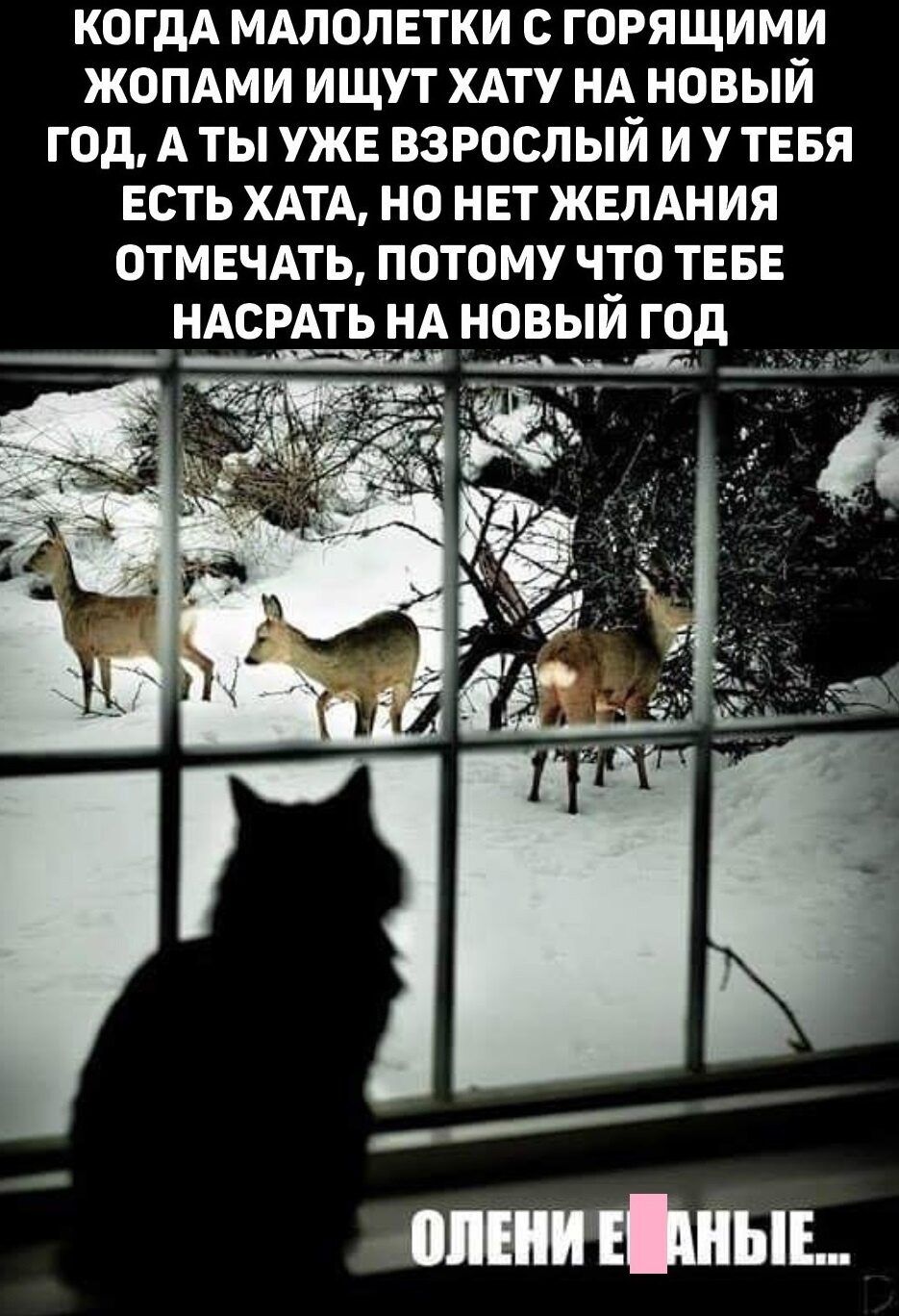 КОГДА МАЛОЛЕТКИ С ГОРЯЩИМИ ЖОПАМИ ИЩУТ ХАТУ НА НОВЫЙ ГОД А ТЫ УЖЕ ВЗРОСЛЫЙ И У ТЕБЯ ЕСТЬ ХАТА НО НЕТ ЖЕЛАНИЯ ОТМЕЧАТЬ ПОТОМУ ЧТО ТЕБЕ НАСРАТЬ НА НОВЫЙ ГОД т МЕЛЕЛЫМ еалнанлан та со ОЛЕНИ ЕЙАНЫЕ