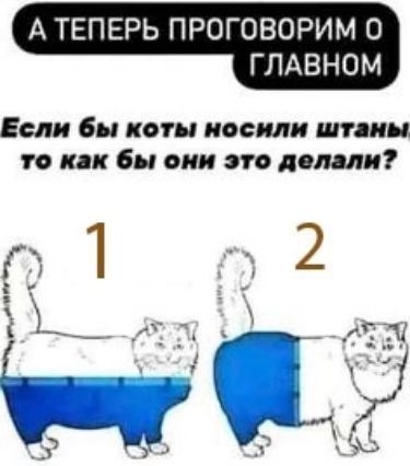 А ТЕПЕРЬ ПРОГОВОРИМ О ГЛАВНОМ Если бы коты носили штаны то как бы они это делали Г 1 2