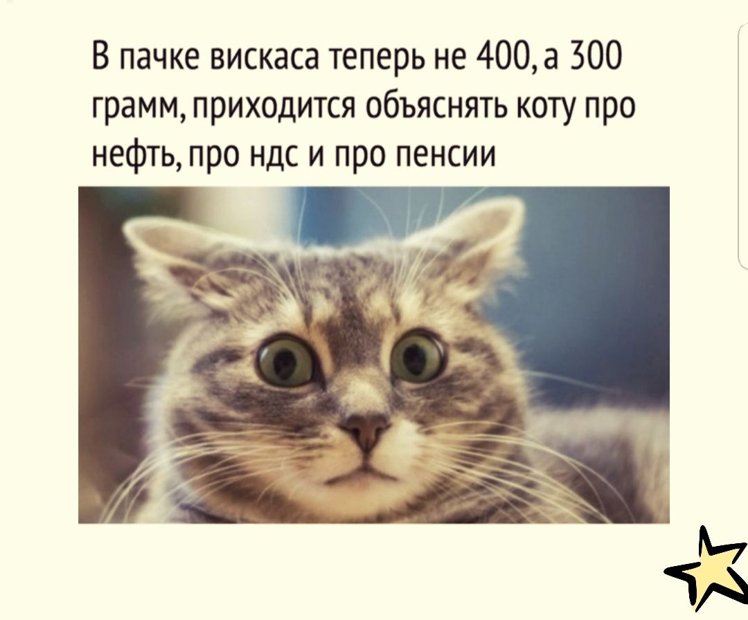 В пачке вискаса теперь не 400а 500 грамм приходится объяснять коту про нефть про ндс и про пенсии