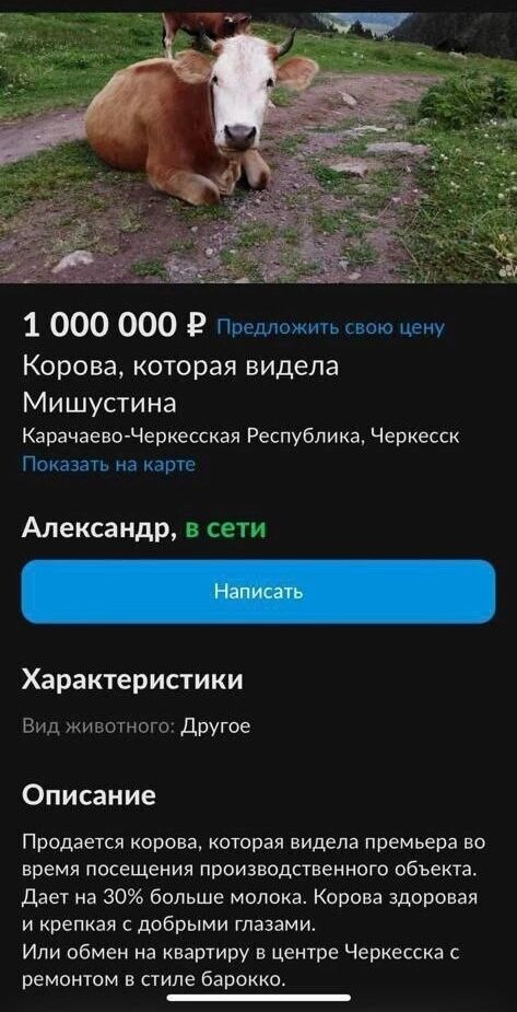 1 000 000 Р предложить свою цену Корова которая видела Мишустина Карачаево Черкесская Республика Черкесск Показать на карте Александр в сети Характеристики Вид животного Другое е ГТе т Та Продается корова которая видела премьера во время посещения производственного объекта Дает на 30 больше молока Корова здоровая и крепкая с добрыми глазами Или обмен на квартиру в центре Черкесска с ремонтом в сти