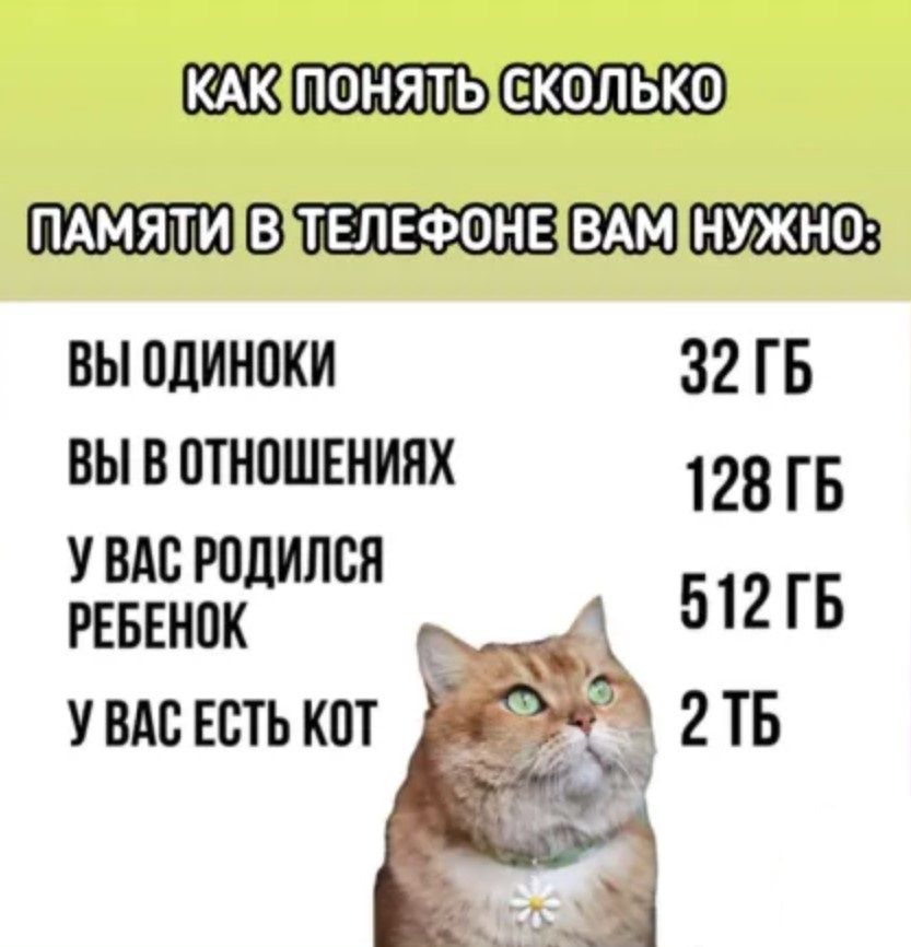 КАКПОНЯТЫСКОЛЬКО ПАМЯТИВЭТЕЛЕФОНЕВАМНУЖНО ВЫ ОДИНОКИ 32 ГБ ВЫ В ОТНОШЕНИЯХ 128 ГБ УВАС РОДИЛСЯ РЕБЕНОК 512ГБ УВАС ЕСТЬ КОТ З2ТБ