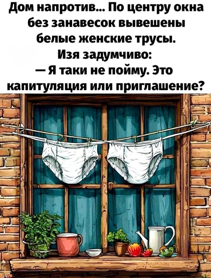 Дом напротив По центру окна без занавесок вывешены белые женские трусы Изя задумчиво Я таки не пойму Это капитуляция или приглашение