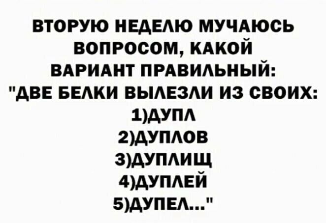 ВТОРУЮ НЕДЕЛЮ МУЧАЮСЬ ВОПРОСОМ КАКОЙ ВАРИАНТ ПРАВИЛЬНЫЙ ДВЕ БЕЛКИ ВЫЛЕЗЛИ ИЗ СВОИХ 1ДУПЛ 2ДУПЛОВ ЗДУПЛИЩ 4 ДУПЛЕЙ 5ДУПЕЛ