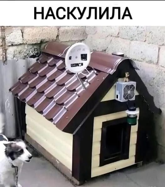 НАСКУЛИЛА