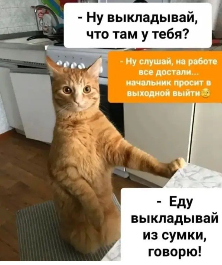 Ну выкладывай что там у тебя Еду _ выкладывай из сумки говорю