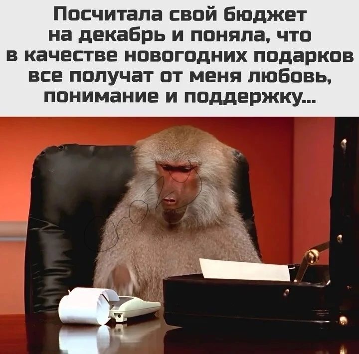 Посчитала свой бюджет на декабрь и поняла что в качестве новогодних подарков все получат от меня любовь понимание и поддержку