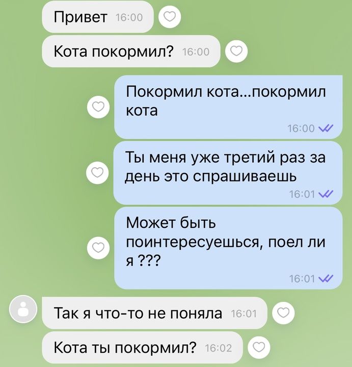 Привет Кота покормил Покормил котапокормил кота м Ты меня уже третий раз за день это спрашиваешь М Может быть поинтересуешься поел ли я м Так я что то не поняла Кота ты покормил