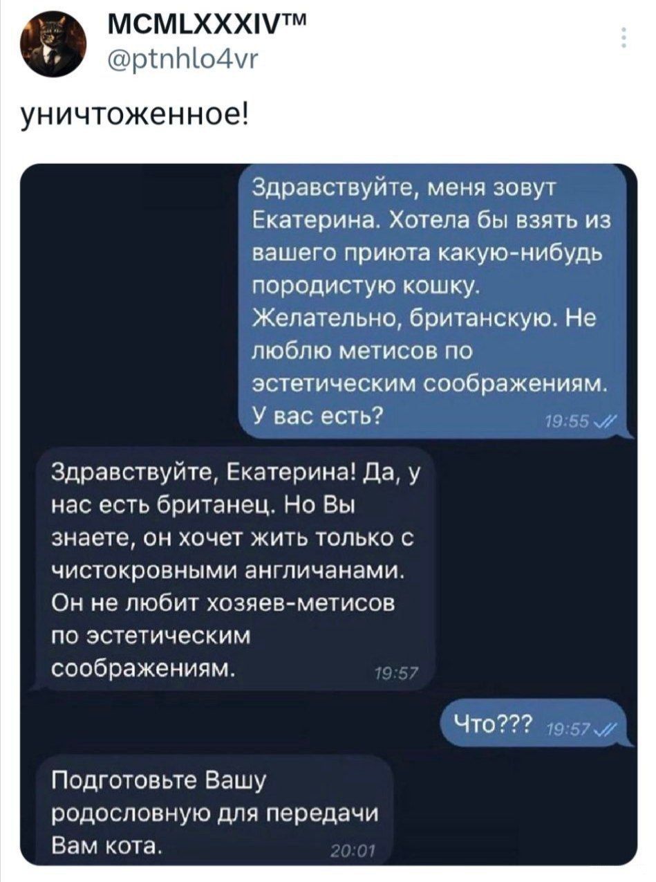 МСМхХхМтМ рпНо уничтоженное Здравствуйте меня зовут Екатерина Хотела бы взять из вашего приюта какую нибудь породистую кошку Желательно британскую Не люблю метисов по эстетическим соображениям У вас есть Здравствуйте Екатерина Да у нас есть британец Но Вы знаете он хочет жить только с чистокровными англичанами Он не любит хозяев метисов по эстетическим соображениям Подготовьте Вашу родословную для