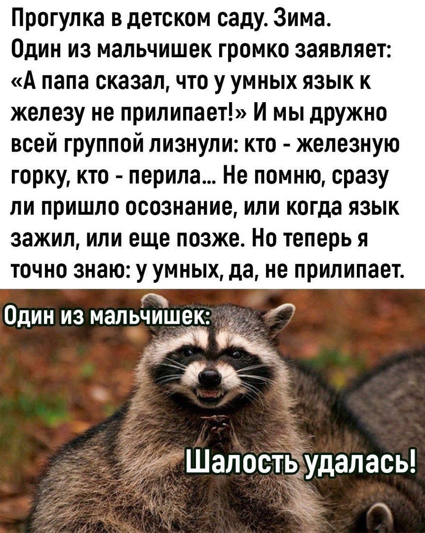 Прогулка в детском саду Зима Один из мальчишек громко заявляет А папа сказал что у умных язык к железу не прилипает И мы дружно всей группой лизнули кто железную горку кто перила Не помню сразу ли пришло осознание или когда язык зажил или еще позже Но теперь я точно знаю у умных да не прилипает гч Один из мальчишек е ъ Шалостьыудалась З