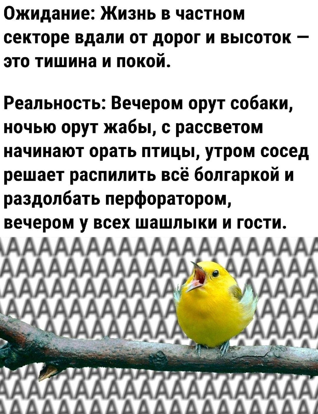 Ожидание Жизнь в частном секторе вдали от дорог и высоток это тишина и покой Реальность Вечером орут собаки ночью орут жабы с рассветом начинают орать птицы утром сосед решает распилить всё болгаркой и раздолбать перфоратором вечером у всех шашлыки и гости