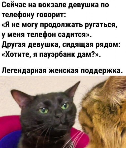 Сейчас на вокзале девушка по телефону говорит Я не могу продолжать ругаться у меня телефон садится Другая девушка сидящая рядом Хотите я пауэрбанк дам Легендарная женская поддержка_