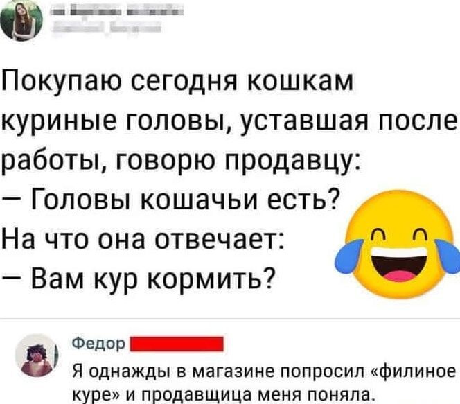 о Покупаю сегодня кошкам куриные головы уставшая после работы говорю продавцу Головы кошачьи есть На что она отвечает Вам кур кормить Бедор НЕНННННННи в Я однажды в магазине попросил филиное куре и продавщица меня поняла