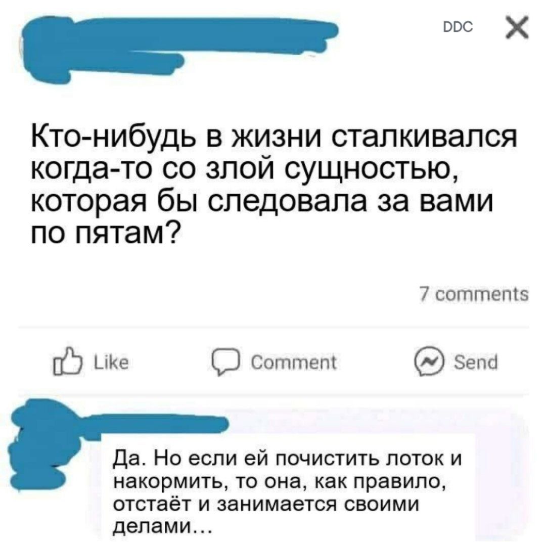 щ Кто нибудь в жизни сталкивался когда то со злой сущностью которая бы следовала за вами по пятам 7 соттет5 05 ке СЭ соттет епа Да Но если ей почистить лоток и накормить то она как правило отстаёт и занимается своими делами