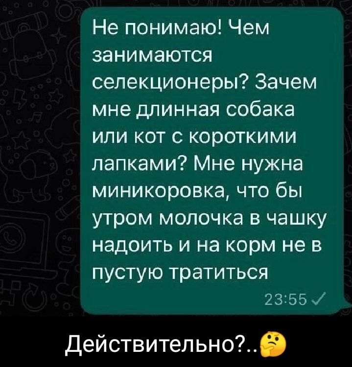 Не понимаю Чем занимаются селекционеры Зачем мне длинная собака или кот с короткими лапками Мне нужна миникоровка что бы утром молочка в чашку надоить и на корм не в пустую тратиться 2355 Действительно