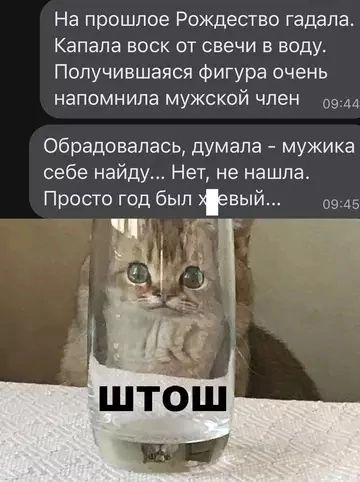 На прошлое Рождество гадала Капала воск от свечи в воду Получившаяся фигура очень напомнила мужской член оолл Обрадовалась думала мужика себе найду Нет не нашла Просто год был евый 0945 И ЕЕ