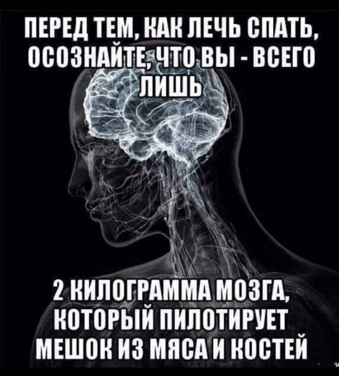 ПЕРЕД ТЕМ КАК ЛЕЧЬ СПАТЬ 0003ТЕЧТ0Ь ВСЕГО Н0Т0ЫИ ПИЛОТИРУЕТ МЕШОК ИЗ МЯСА И КОСТЕЙ