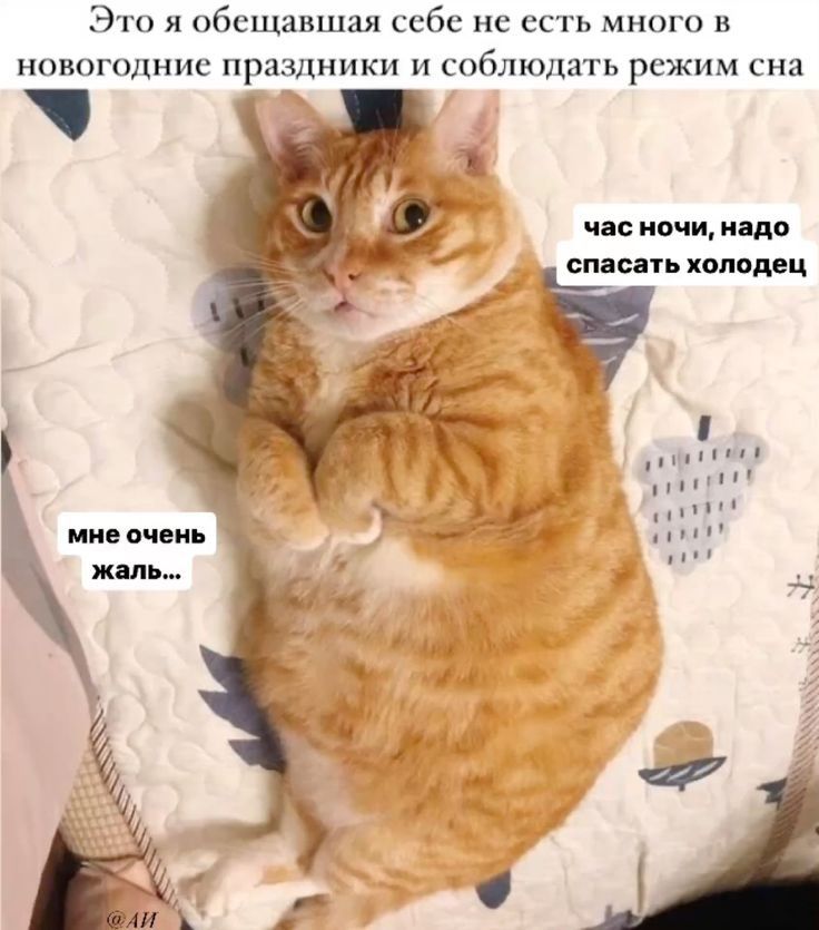 Это я обещавшая себе не есть много в новогодние праздники и соблюдать режим сна Ь час ночи надо спасать холодец