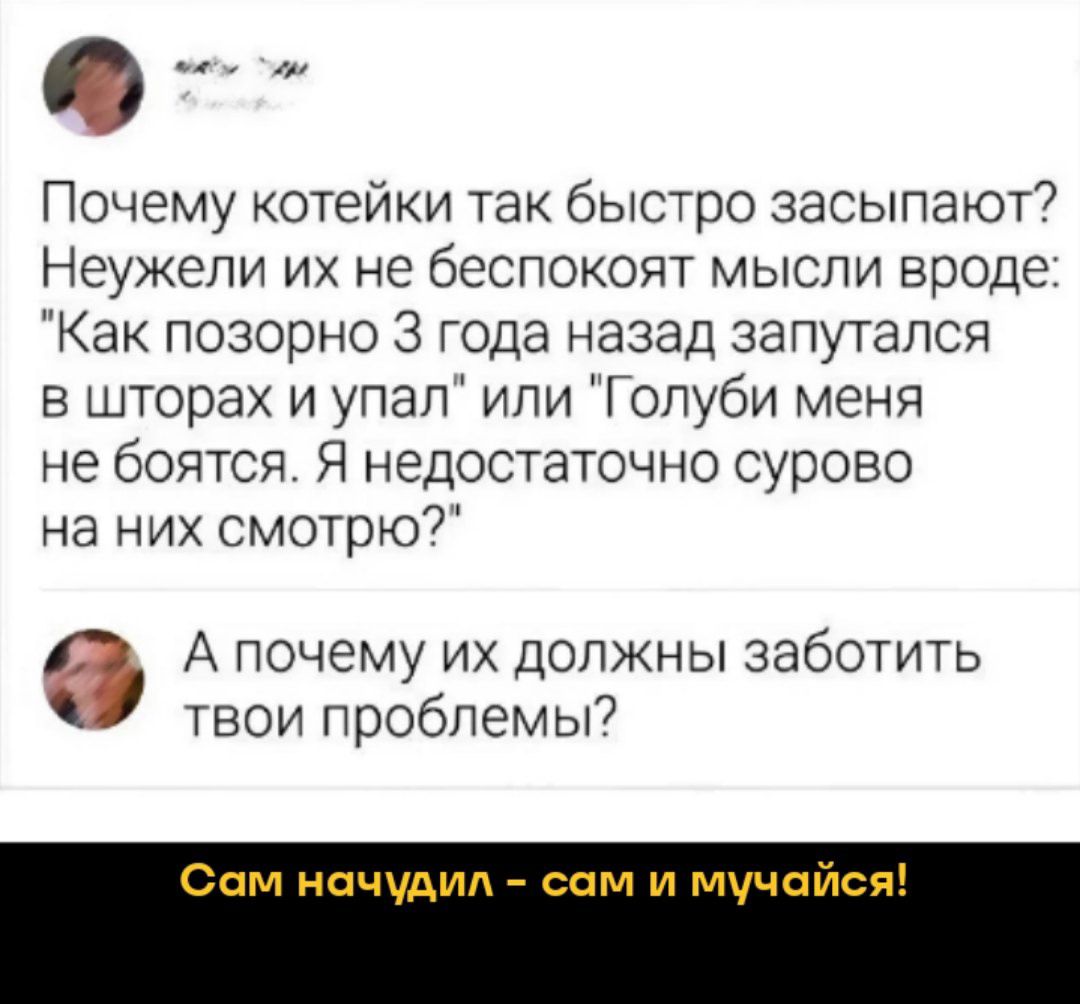 Почему котейки так быстро засыпают Неужели их не беспокоят мысли вроде Как позорно 3 года назад запутался в шторах и упал или Голуби меня не боятся Я недостаточно сурово на них смотрю 6 А почему их должны заботить твои проблемы