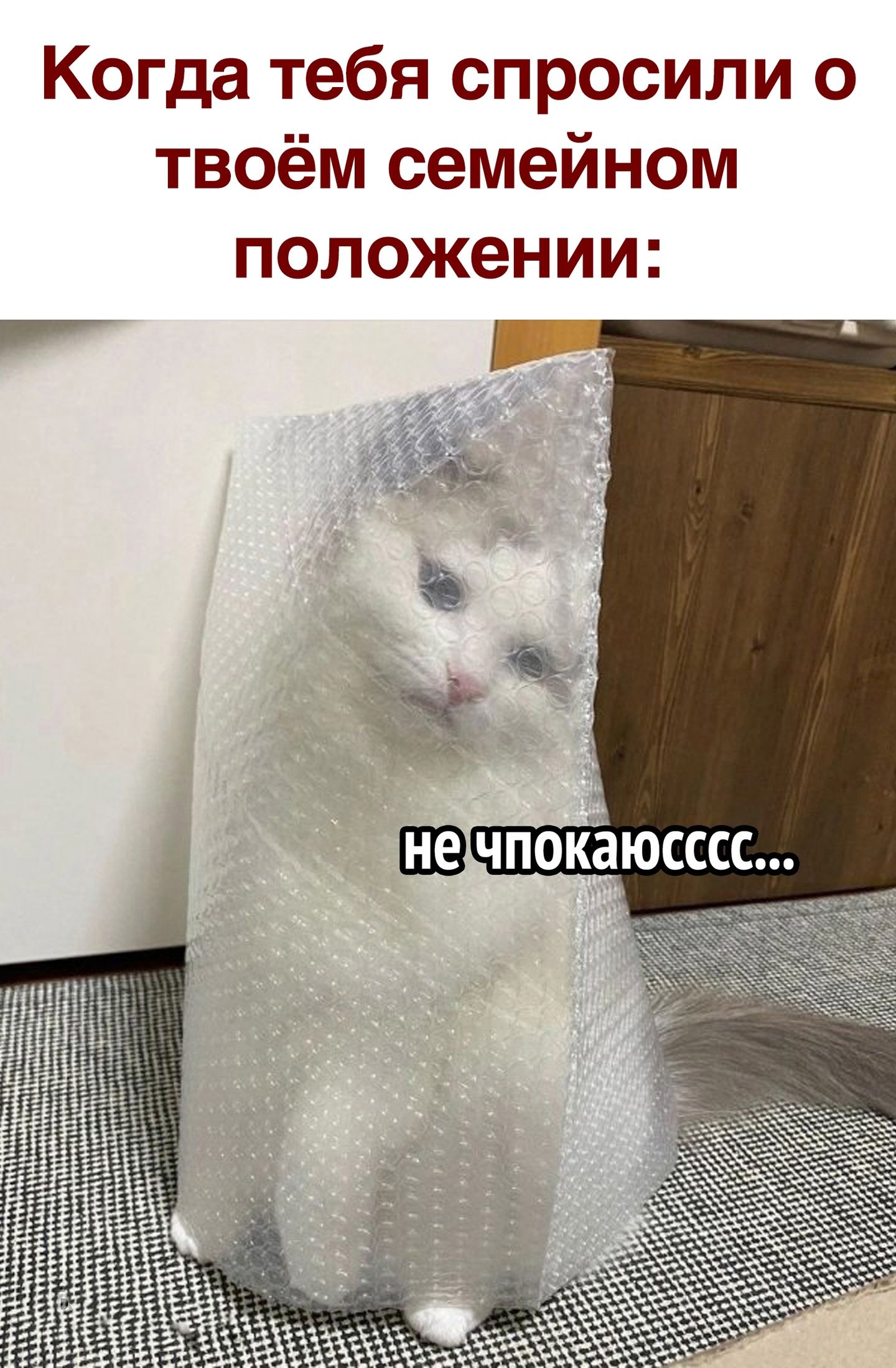 Когда тебя спросили о твоём семейном положении окаюсссс