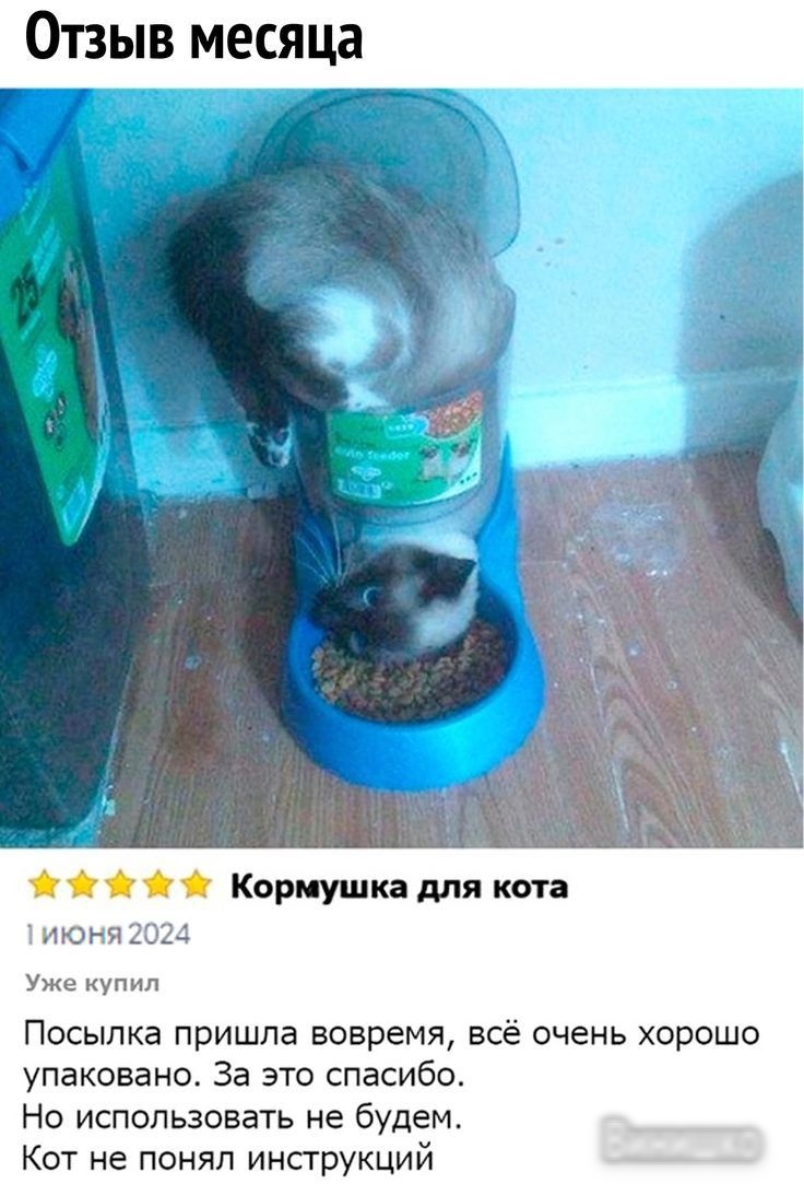 ЫВ месяца Кормушка для кота июня Уже купил Посылка пришла вовремя всё очень хорошо упаковано За это спасибо Но использовать не будем Кот не понял инструкций