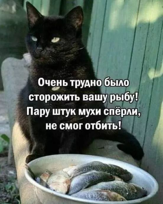 Пару штук мухи Ейёрди не смог отбить
