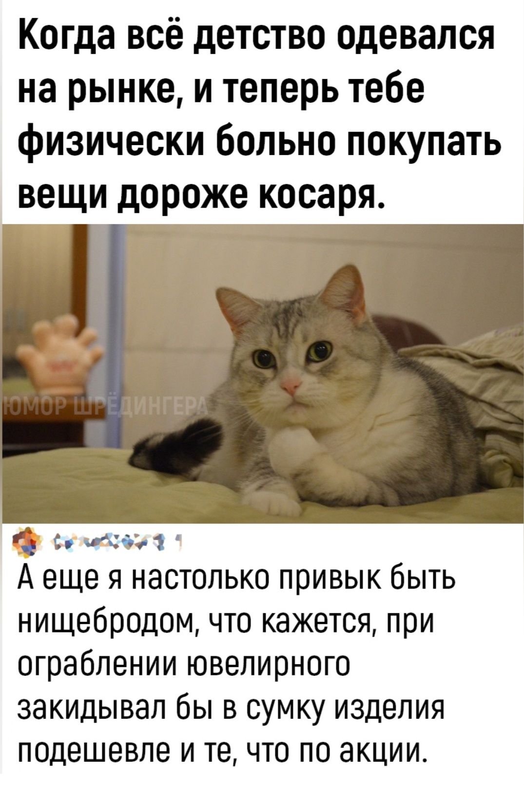 Когда всё детство одевался на рынке и теперь тебе физически больно покупать вещи дороже косаря сеебои л Аеще я настолько привык быть нищебродом что кажется при ограблении ювелирного закидывал бы в сумку изделия подешевле и те что по акции
