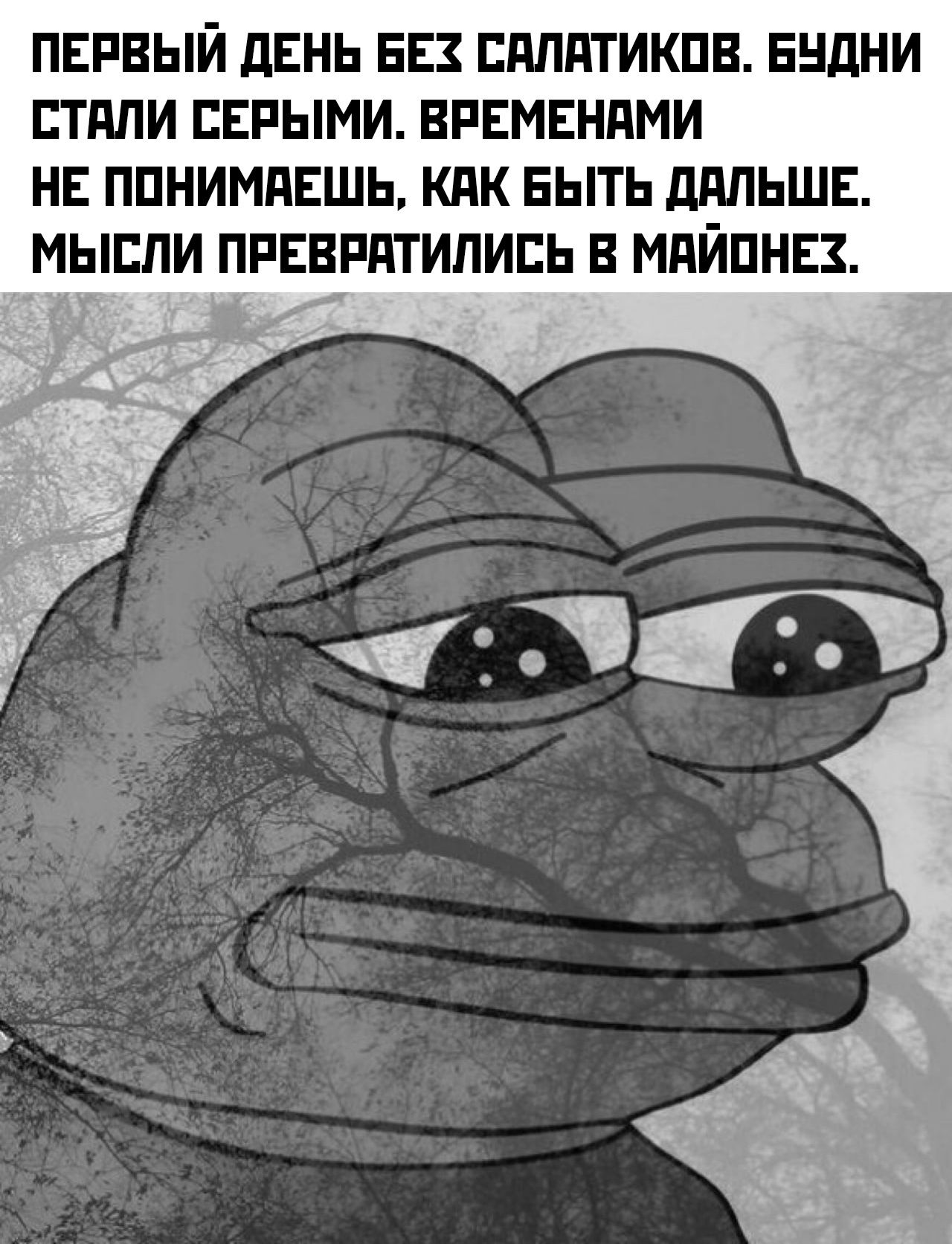ПЕРВЫЙ ДЕНЬ БЕЗ САЛАТИКОВ БУДНИ СТАЛИ СЕРЫМИ ВРЕМЕНАМИ НЕ ПОНИМАЕШЬ КАК БЫТЬ ДАЛЬШЕ МЫСЛИ ПРЕВРАТИЛИСЬ В МАЙОНЕХ