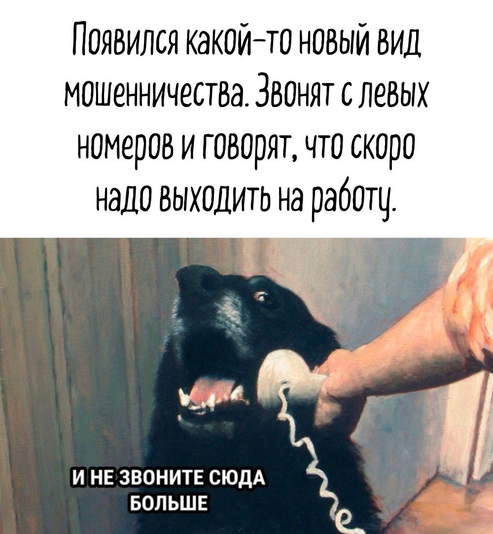 Появился какой то новый ВИД мошенничества ЗВОнят с левых номеров и говорят что скоро надо выходить на работу Мра Ё ИНЕ ЗВОНИТЕ СЮДА ч БОЛЬШЕ