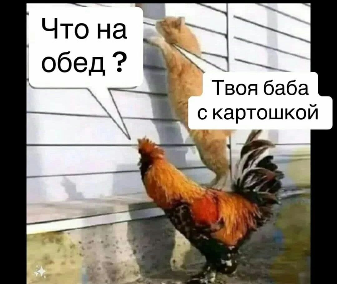 Что на З Твоя баба скартошкой