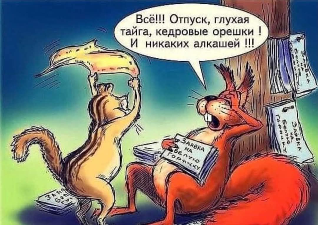 Всё Отпуск глухая тайга кедровые орешки И никаких алкашей