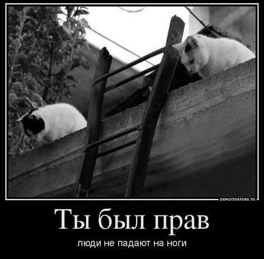 ТЫ бЫ Л ПраВ ПедИНеТВИНИТЕЫ Ч