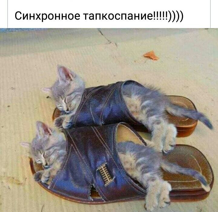 Синхронное тапкоспание