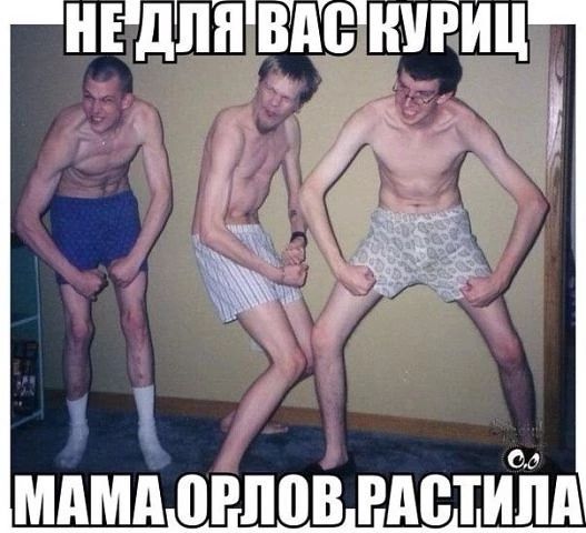 ЗЕ 3 дЛНШВШРИЦ