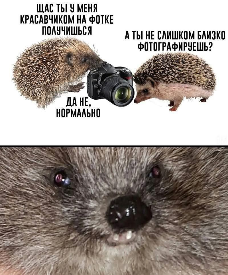 ЩАС ТЫ У МЕНЯ КРАСАВЧИКОМ НА ФОТКЕ ПОЛУЧИШЬСЯ АТЫ НЕ СЛИШКОМ БЛИЗКО ФОТОГРАФИРУЕШЬ ДАНЕ НОРМАЛЬНО