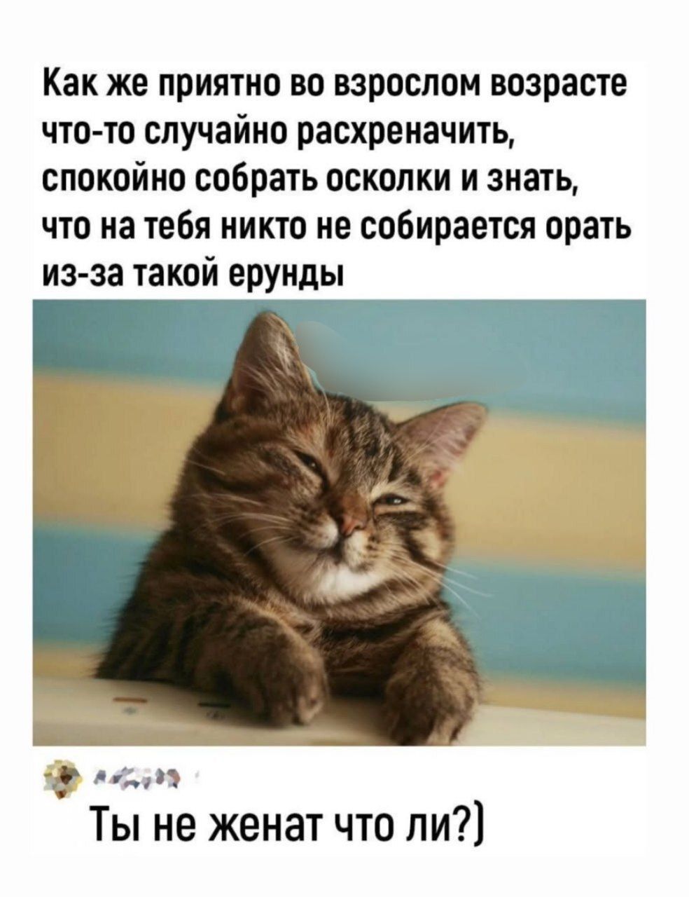 Как же приятно во взрослом возрасте что то случайно расхреначить спокойно собрать осколки и знать что на тебя никто не собирается орать из за такой ерунды пп Ты не женат что ли