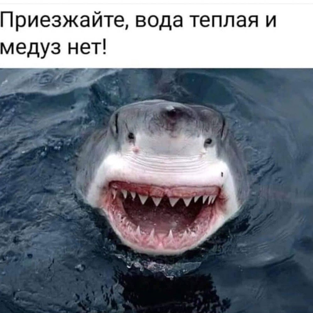 Приезжайте вода теплая и медуз нет