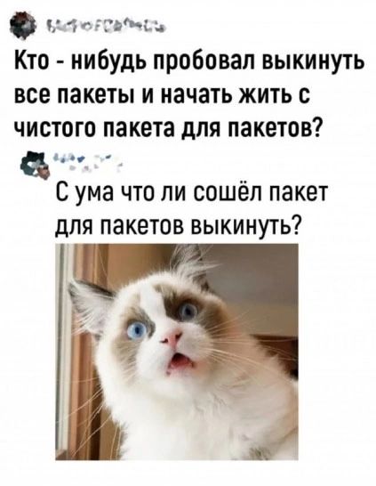 МирОРСВчь Кто нибудь пробовал выкинуть все пакеты и начать жить с чистого пакета для пакетов цсло т Сума что ли сошёл пакет для пакетов выкинуть