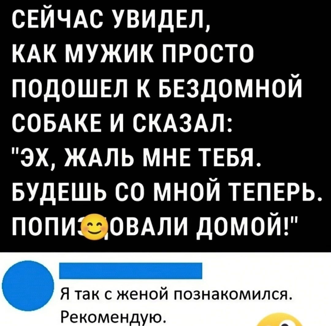 СЕЙЧАС УВИДЕЛ КАК МУЖИК ПРОСТО ПОДОШЕЛ К БЕЗДОМНОЙ СОБАКЕ И СКАЗАЛ ЭХ ЖАЛЬ МНЕ ТЕБЯ БУДЕШЬ СО МНОЙ ТЕПЕРЬ ПОПИЗЗОВАЛИ ДОМОЙ Я так с женой познакомился Рекоменд