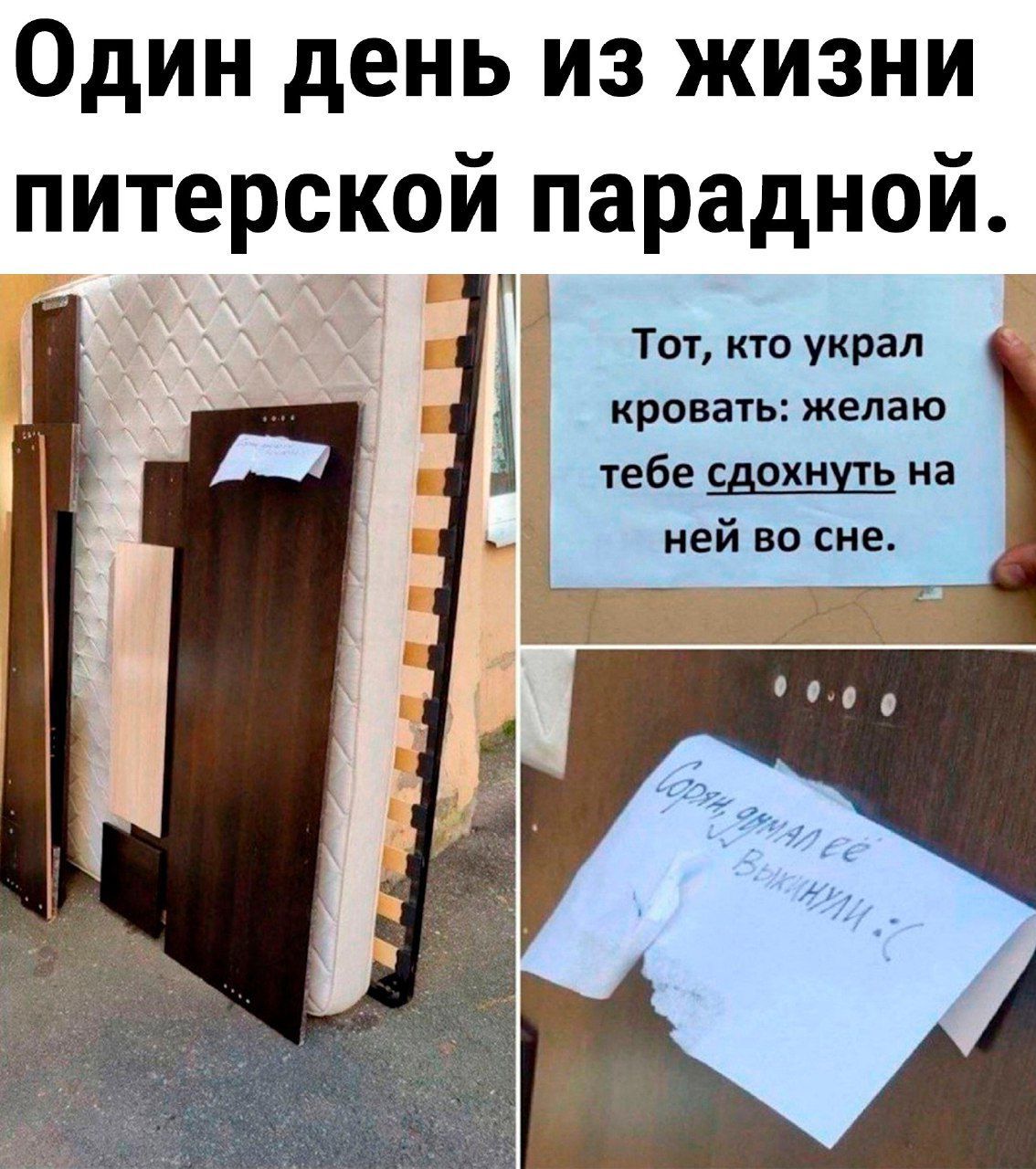 Один день из жизни питерской парадной оя Л Тот кто украл кровать желаю тебе сдохнуть на ней во сне