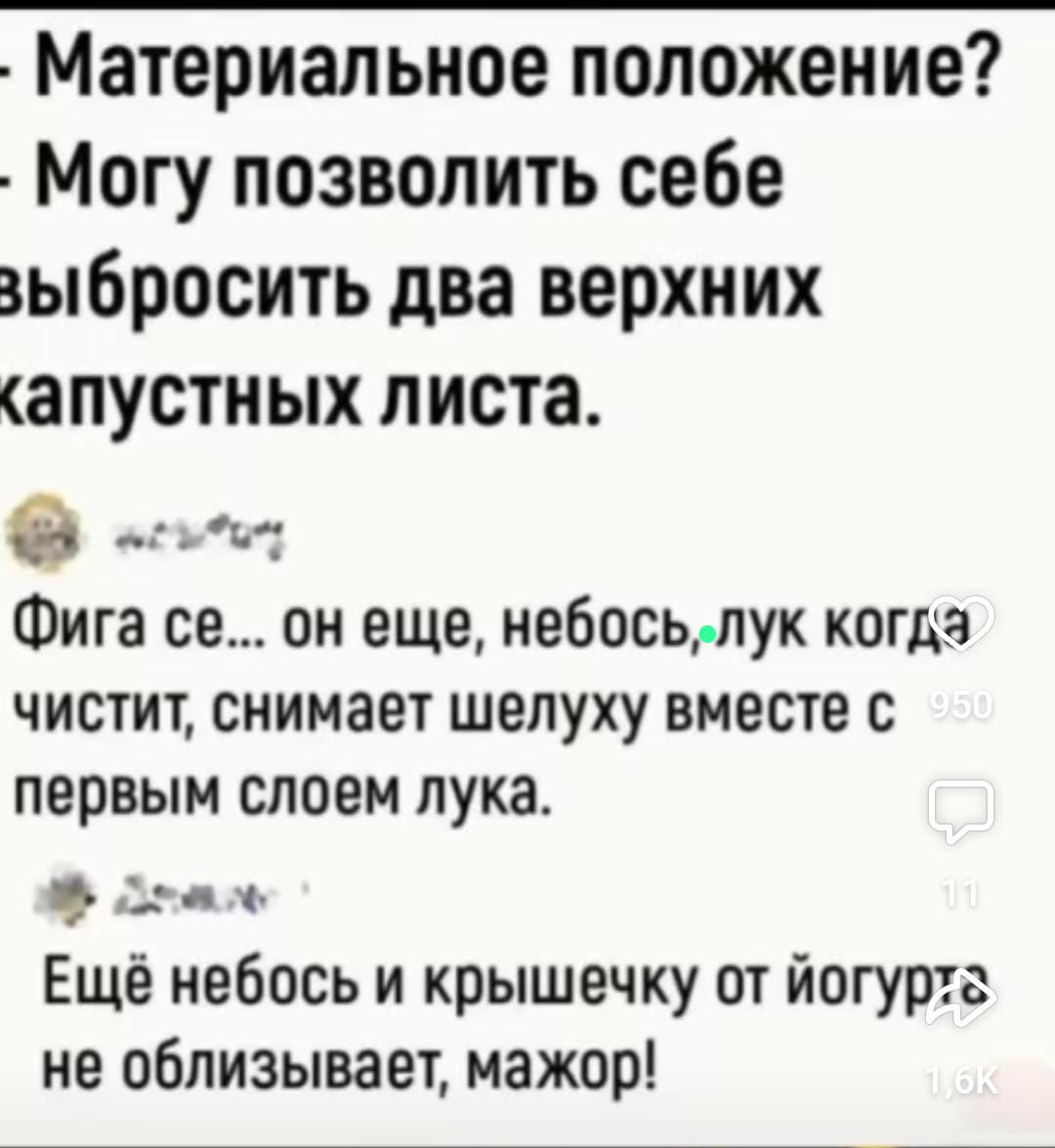 Материальное положение Могу позволить себе зыбросить два верхних апустных листа егъбит Фига се он еще небосьлук когда чистит снимает шелуху вместе с первым слоем лука Ж Оотоь Ещё небось и крышечку от йогуртг не облизывает мажор