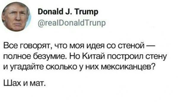 Ропаа Тгитр геаРопааТгипр Все говорят что моя идея со стеной полное безумие Но Китай построил стену и угадайте сколько у них мексиканцев Шах и мат