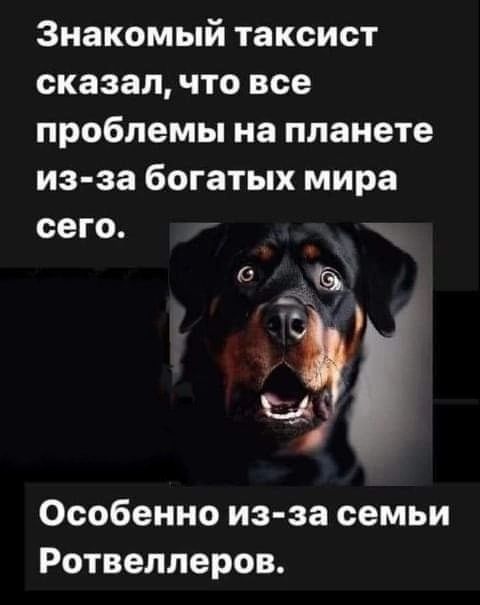 Знакомый таксист сказал что все проблемы на планете из за богатых мира сего Особенно из за семьи Ротвеллеров