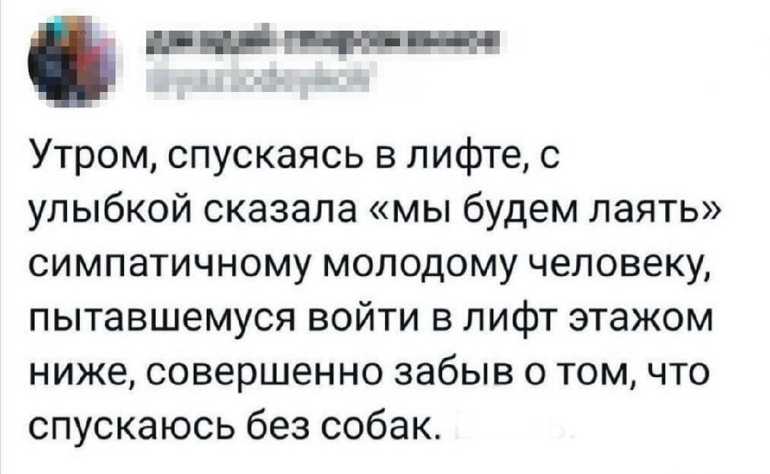 лы пр рта лы Утром спускаясь в лифте с улыбкой сказала мы будем лаять симпатичному молодому человеку пытавшемуся войти в лифт этажом ниже совершенно забыв о том что спускаюсь без собак